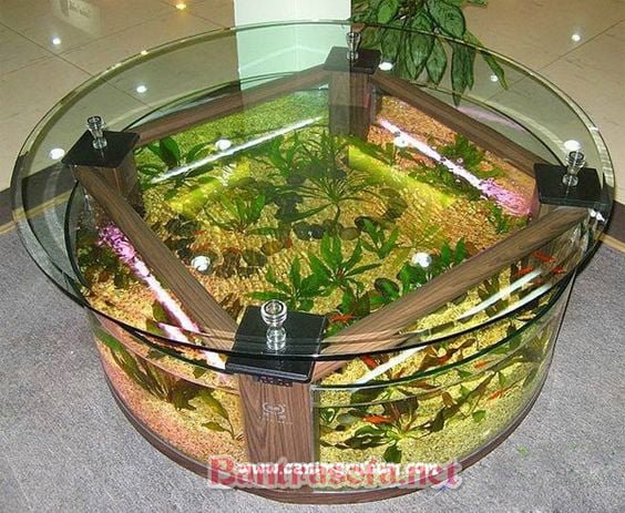 bàn trà mặt kính hình tròn và bể cá cảnh đẹp