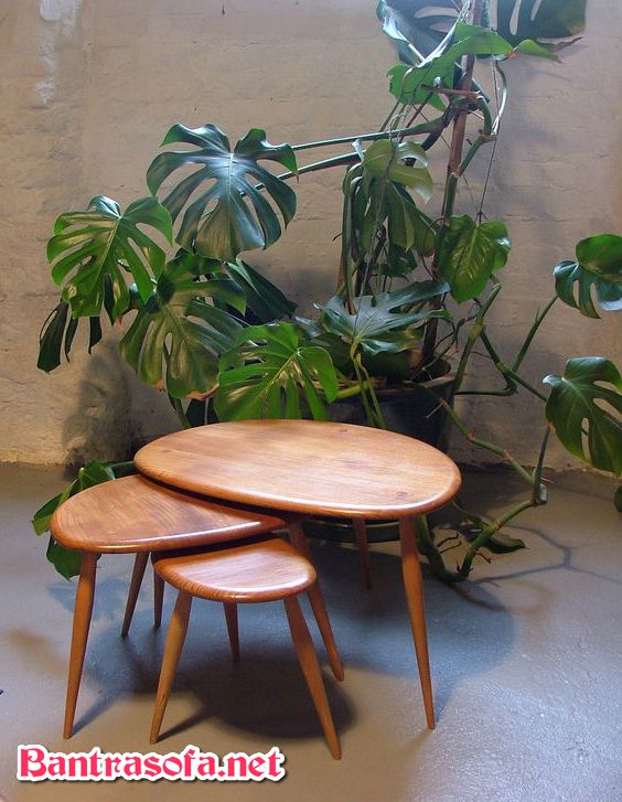 bàn trà gỗ thông tròn 3 bàn